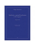 Sinfonia a Grand’Orchestra in Re maggiore. Napoli 1853