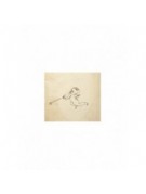 Ruolo degli archivi genovesi nella ricostruzione della vita musicale della città tra Cinque e Seicento